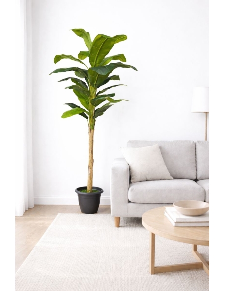 Ficus lyrata artificial  220CM