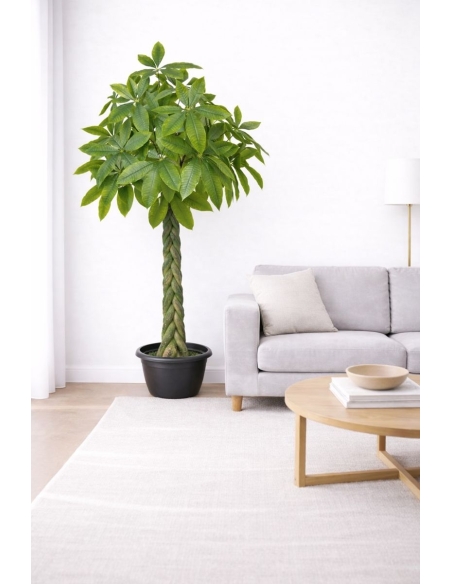 Pachira artificial  170CM