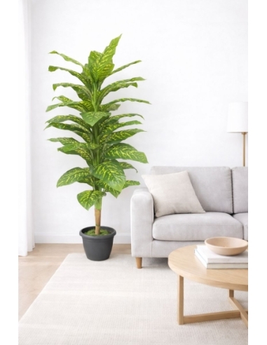 Dieffenbachia artificial 180CM