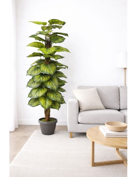 Dieffenbachia artificial ALT 170CM
