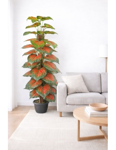 Aglaonema artificial  170CM