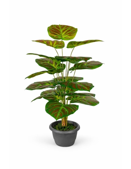 Caladium artificial 90CM