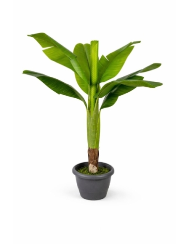 Platanera artificial 105CM
