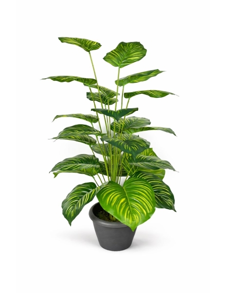 Dieffenbachia artificial 110CM