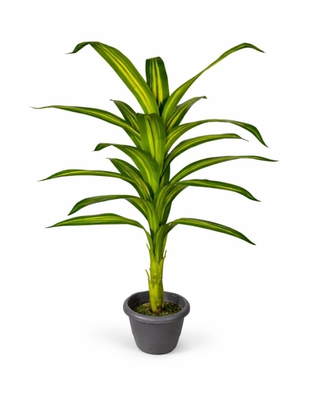 Drácena fragrans artificial 115CM