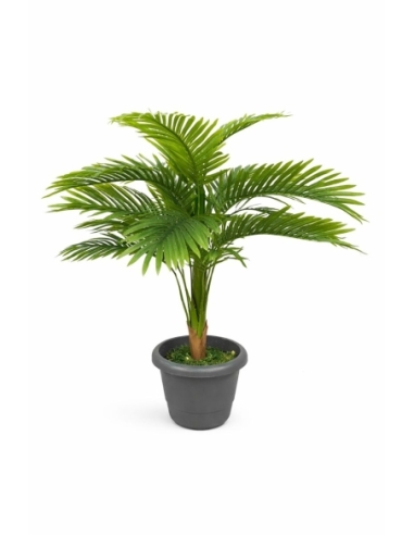 Palmera Kentia artificial 85CM