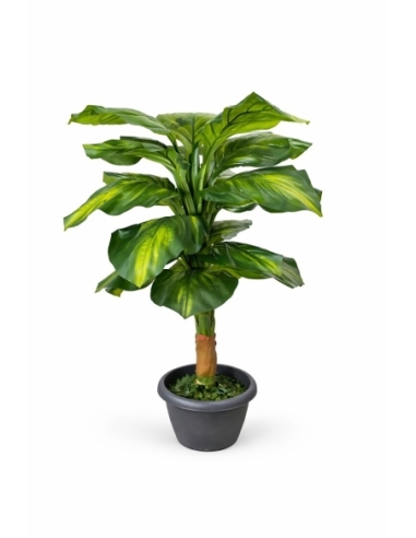 Drácena fragrans artificial 100CM