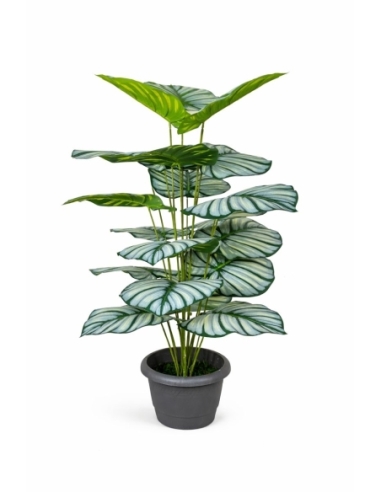 Calathea orbifolia artificial 110CM
