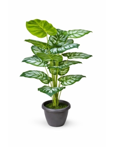 Aglaonema artificial 110CM