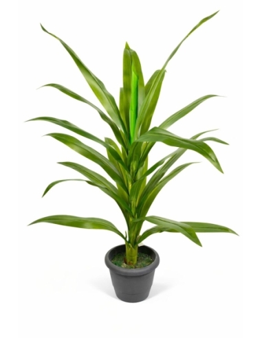 Tronco de Brasil artificial  90CM