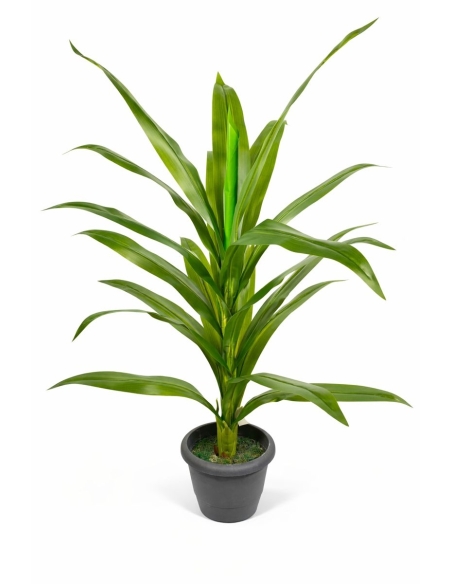 Tronco de Brasil artificial  90CM