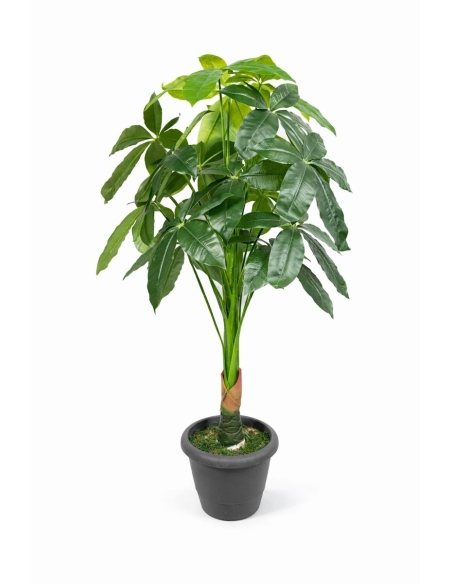 Pachira artificial  100CM