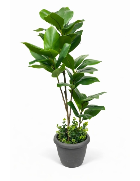 Ficus elastica artificial  90CM