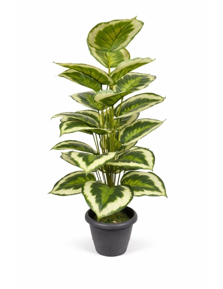 Aglaonema artificial  100CM