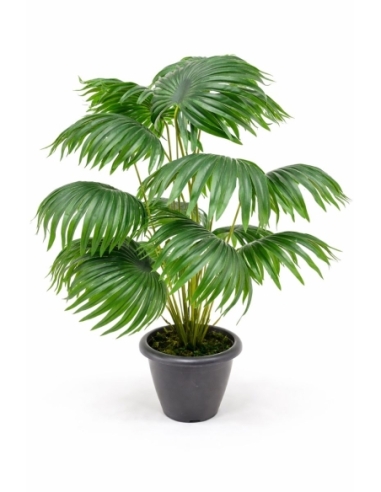 Rhapis artificial 65/70CM