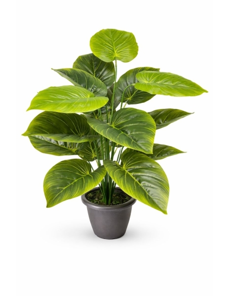 Philodendron artificial 65/70CM