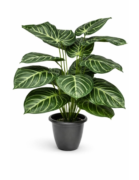 Alocasia artificial 70/75CM