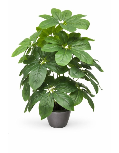 Schefflera artificial 65/70CM