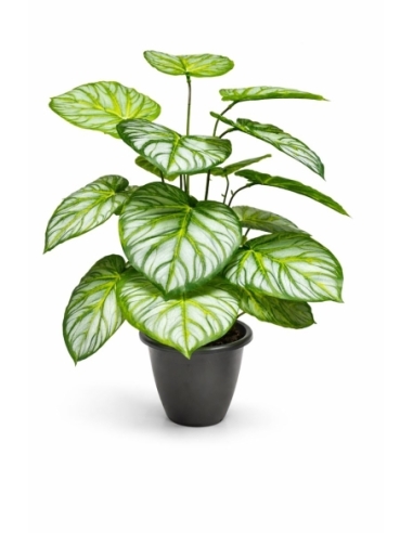Aglaonema artificial 65/70CM