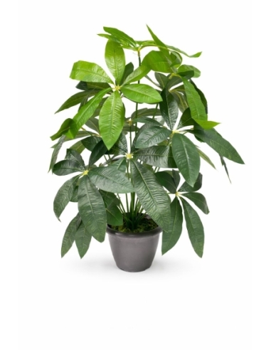Schefflera artificial 65/70CM
