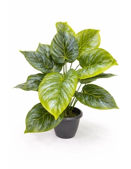 Philodendron artificial plateado  65/70CM