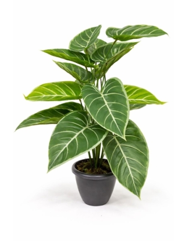 Alocasia artificial  65/70CM