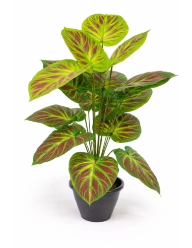 Caladium artificial  65/70CM