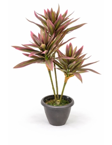 Drácena marginata artificial  65/70CM