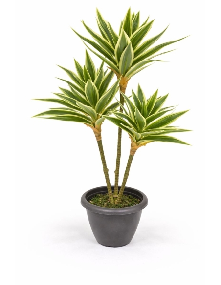 Drácena fragrans artificial  65/70CM