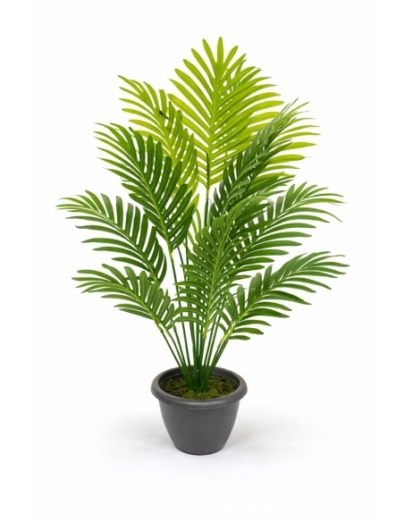 Dieffenbachia artificial  65/70CM