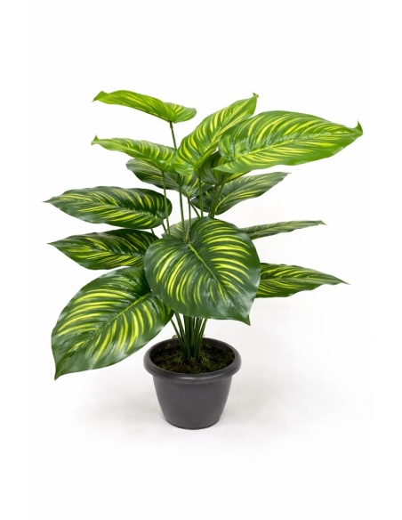 Caladium artificial  65/70CM