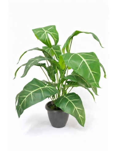 Alocasia artificial  65/70CM