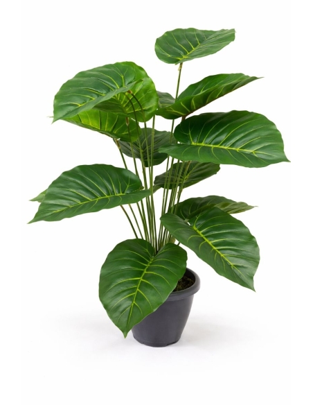 Philodendron artificial  65/70CM