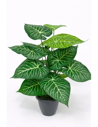 Alocasia artificial 65/70CM