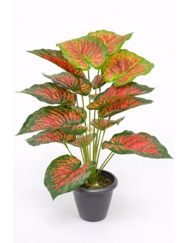 Caladium artificial  65/70CM