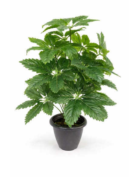 Fatsia japonica artificial  65/70CM