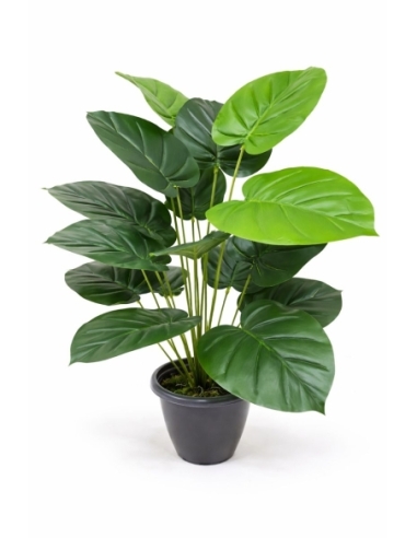 Anthurium artificial  65/70CM