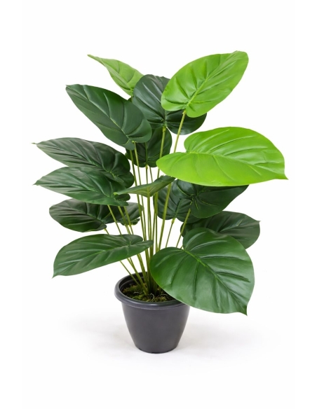 Anthurium artificial  65/70CM