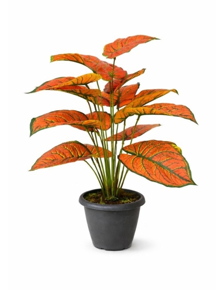 Aglaonema rojo artificial  65/70CM