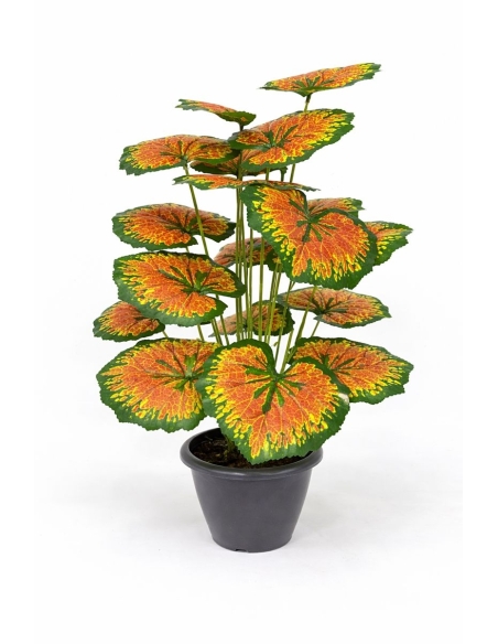 Caladium artificial 55CM