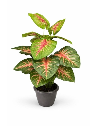Aglaonema artificial roja 55CM