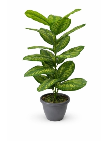 Dieffenbachia artificial 85CM