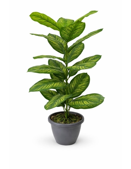 Dieffenbachia artificial 85CM