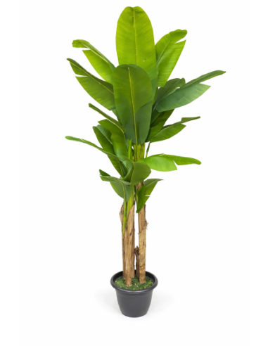 Platanera artificial 240CM