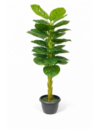 Ficus artificial  170CM