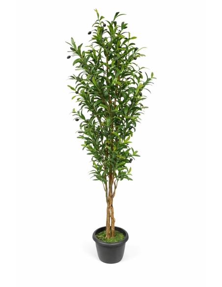 Olivo artificial 220CM