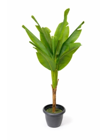 Platanera artificial  165CM
