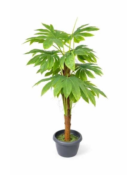 Palmera de hoja partida  140CM