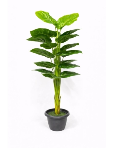 Anthurium artificial  170CM