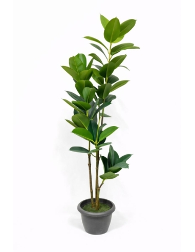 Ficus microcarpa artificial  170CM